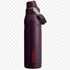 Stanley Dark Purple Insulated Bottle